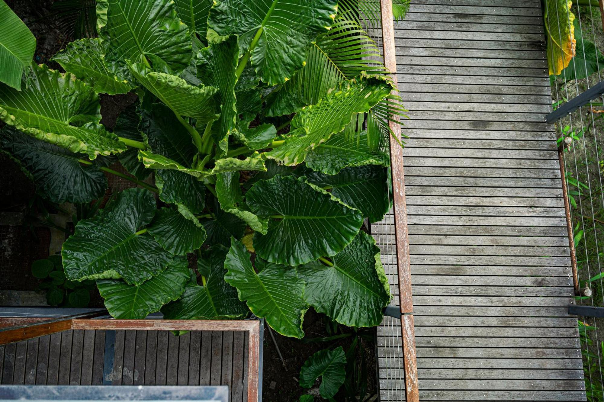 Tilar Siro Andamans - A Cgh Earth Experience Hotel Govind Nagar Exterior photo